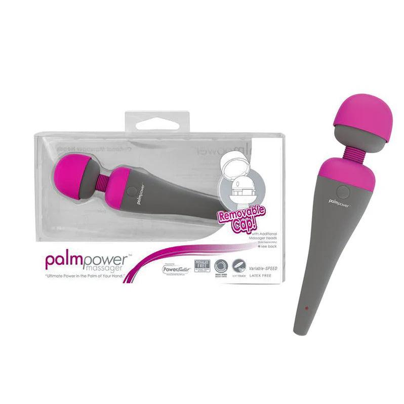 PalmPower Body Silicone Wand Massager - Buy At Luxury Toy X - Free 3-Day Shipping