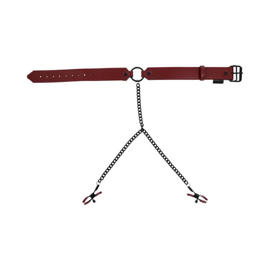 Sportsheets Saffron Collar with Nipple Clamps - Buy At Luxury Toy X - Free 3-Day Shipping