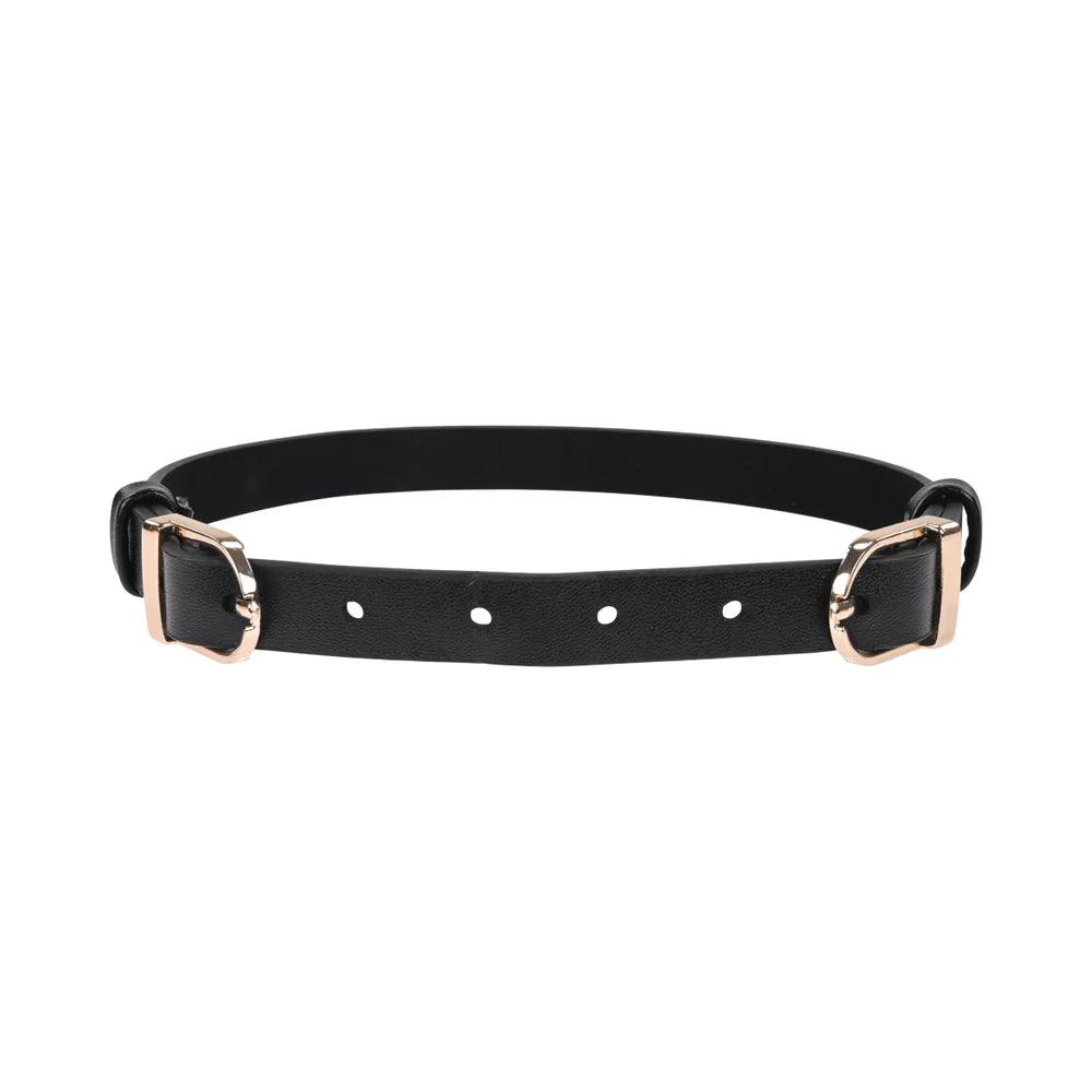 Sportsheets Sex & Mischief Double Buckle Day Collar - Buy At Luxury Toy X - Free 3-Day Shipping