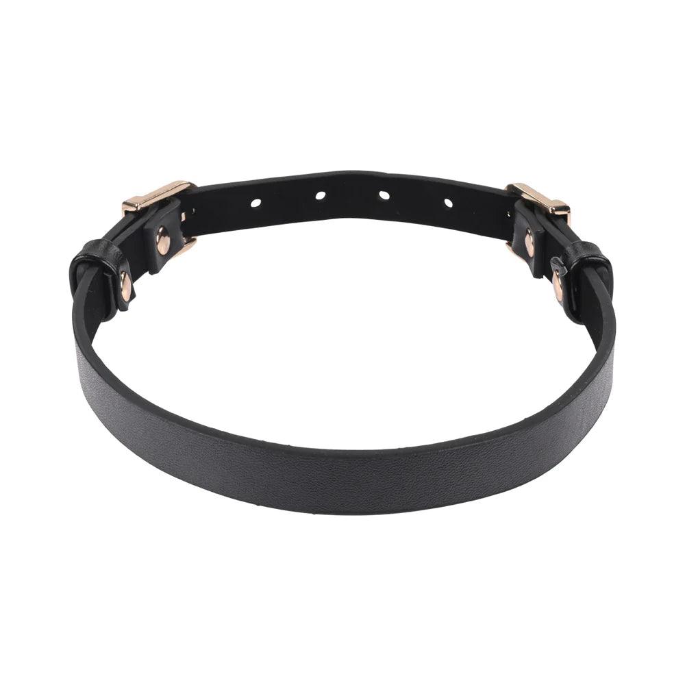 Sportsheets Sex & Mischief Double Buckle Day Collar - Buy At Luxury Toy X - Free 3-Day Shipping