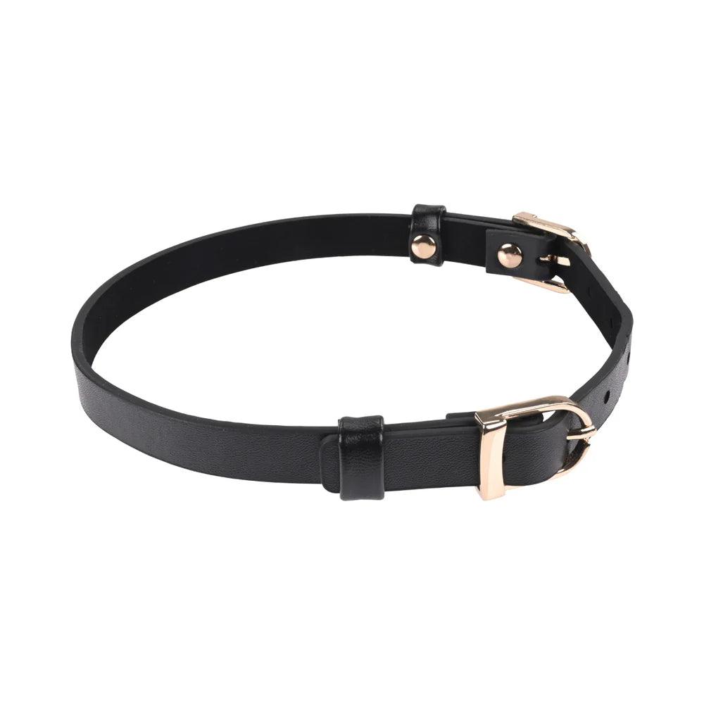 Sportsheets Sex & Mischief Double Buckle Day Collar - Buy At Luxury Toy X - Free 3-Day Shipping
