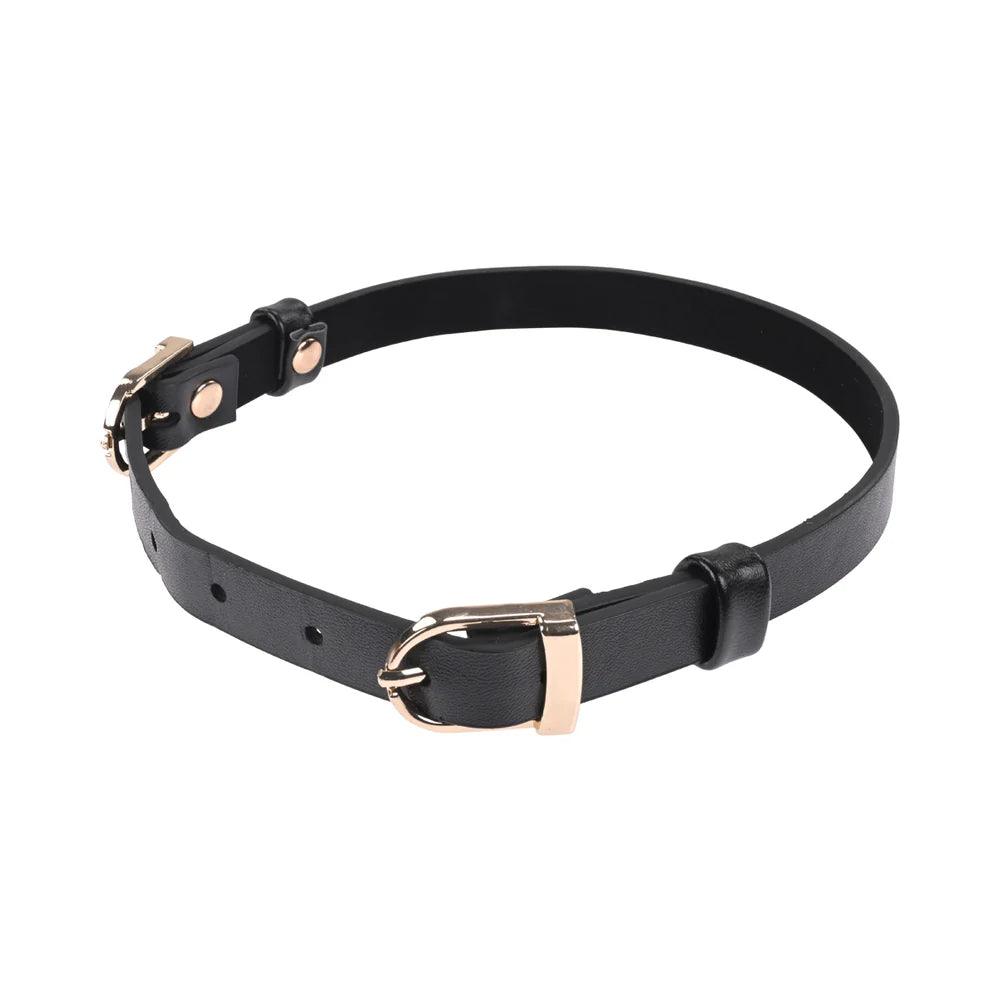 Sportsheets Sex & Mischief Double Buckle Day Collar - Buy At Luxury Toy X - Free 3-Day Shipping