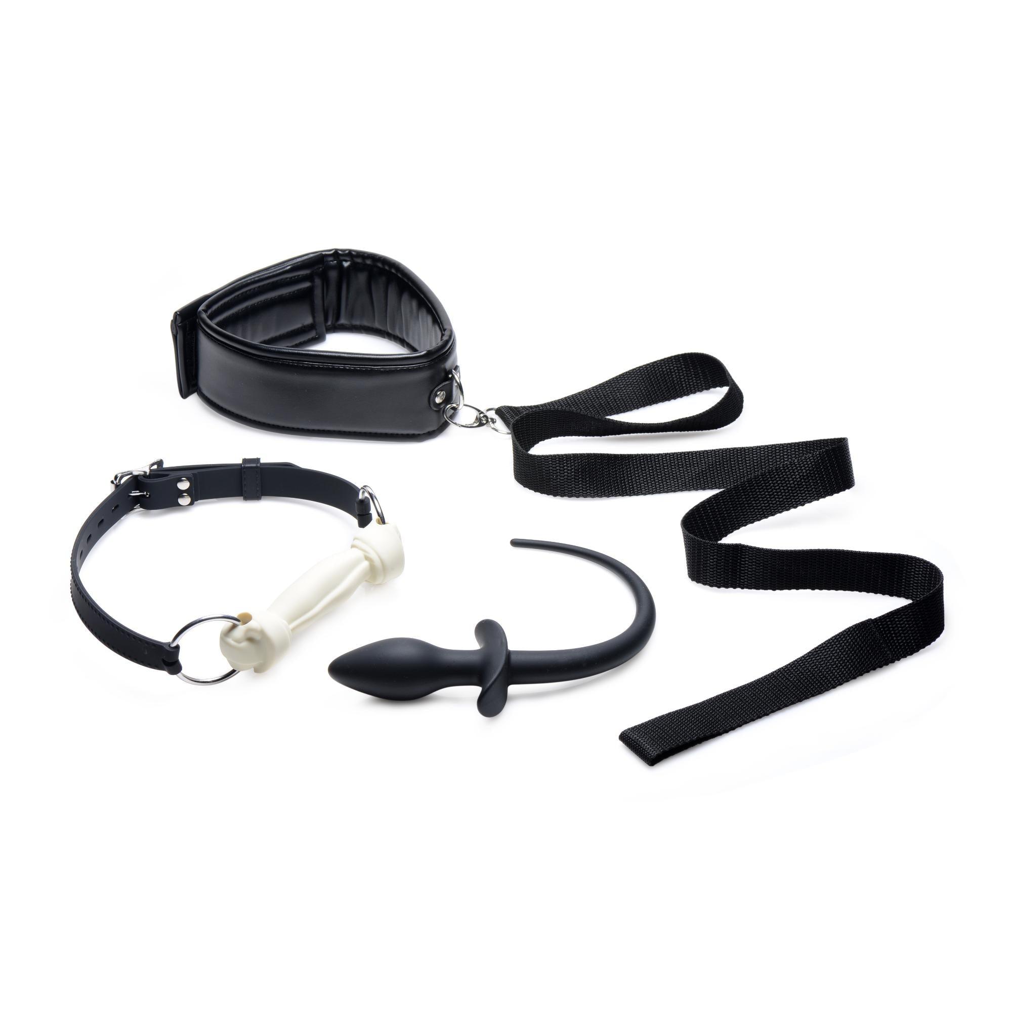 Tailz Puppy Play Set - Silicone Bone Gag, Tail Anal Plug, & Collar - Buy At Luxury Toy X - Free 3-Day Shipping