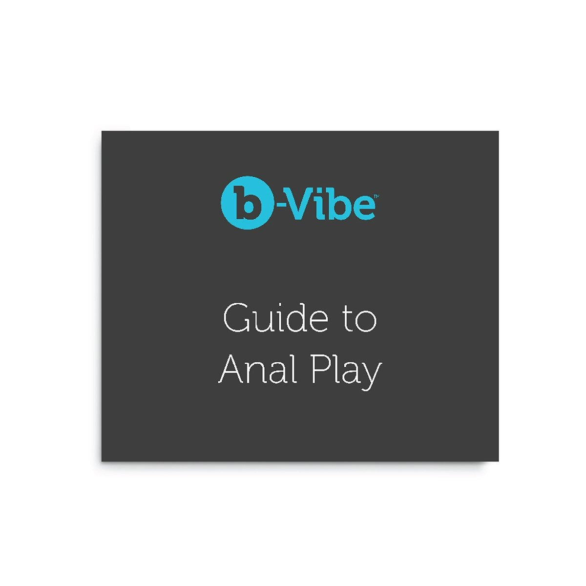 B-Vibe Rimming Plug XL - Buy At Luxury Toy X - Free 3-Day Shipping