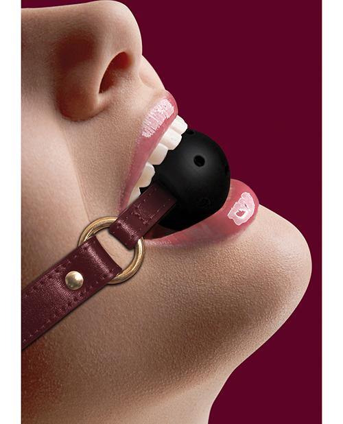 Shots Ouch Halo Breathable Ball Gag - Buy At Luxury Toy X - Free 3-Day Shipping